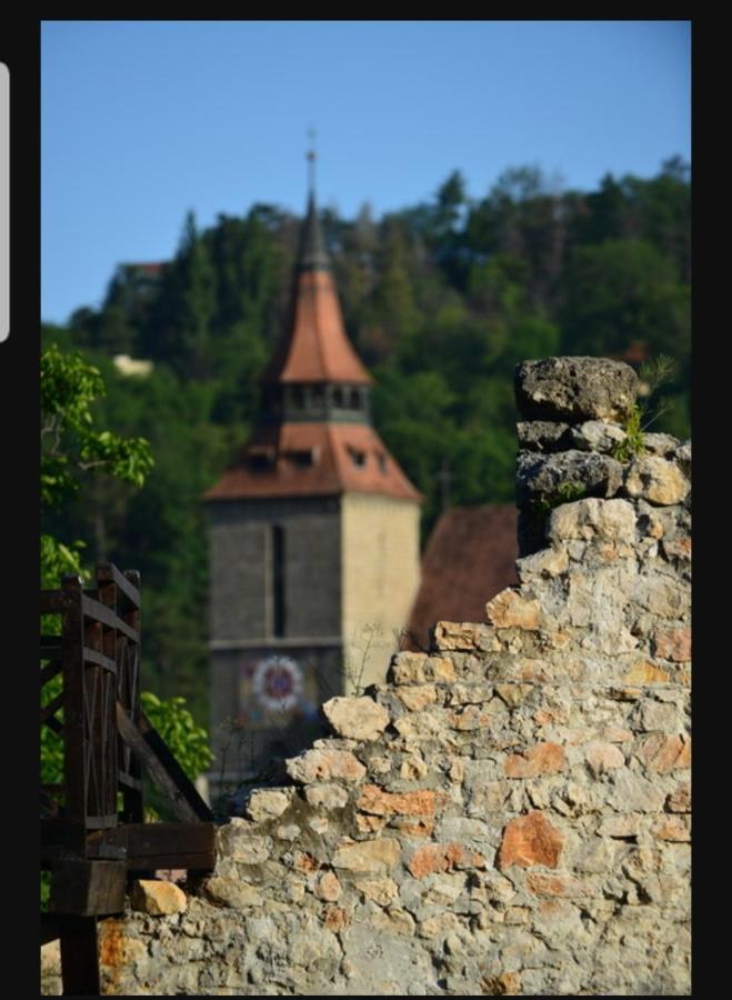 Avantgarden Brasov, Perfect Home - 1 Room Apartment Εξωτερικό φωτογραφία