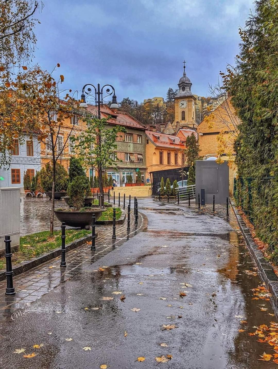 Avantgarden Brasov, Perfect Home - 1 Room Apartment Εξωτερικό φωτογραφία
